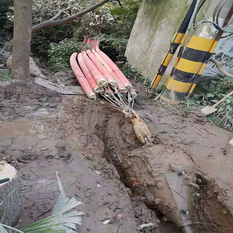 天津武汉焊接涂装线拖拉管